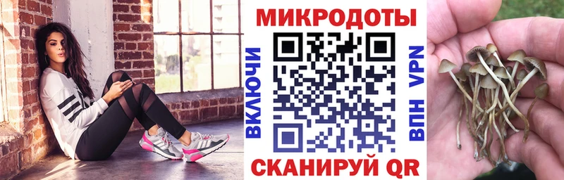 blacksprut маркетплейс  Кущёвская  Псилоцибиновые грибы Cubensis  продажа наркотиков 